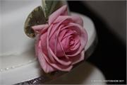 pink (2)